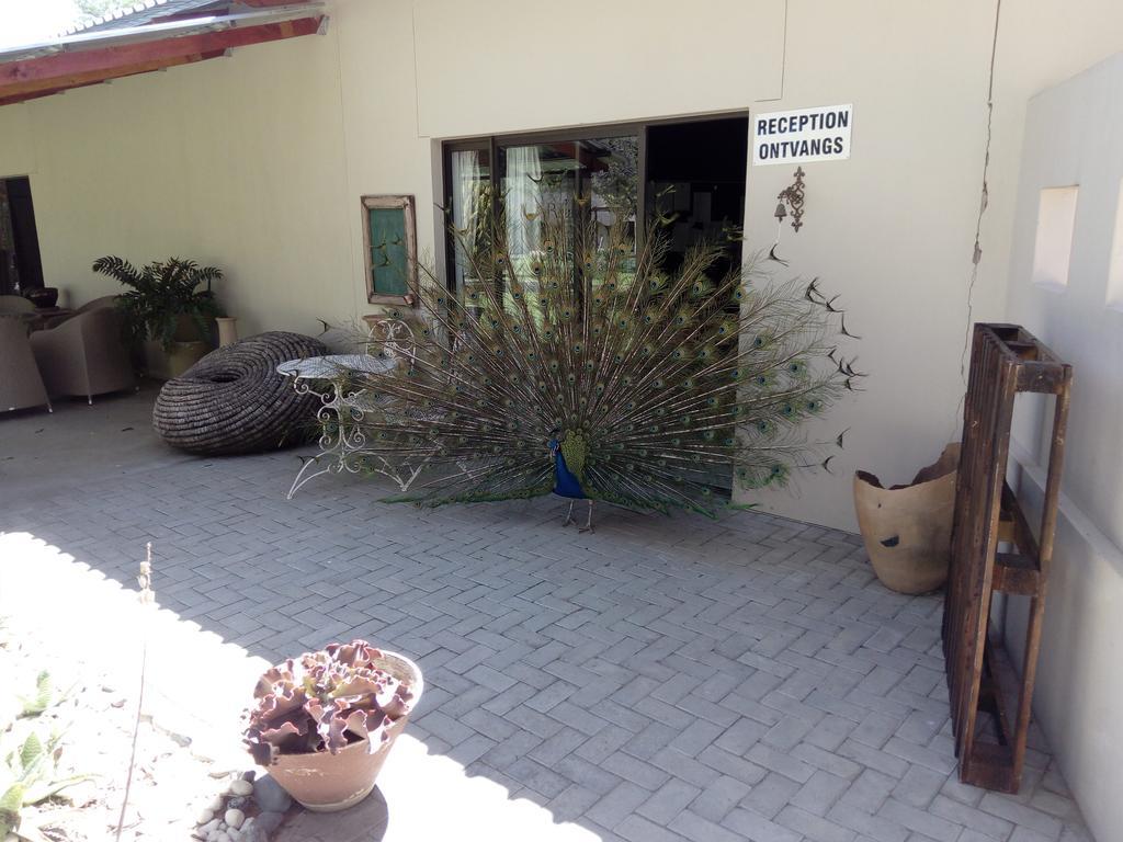 Xain Quaz Camp Hotel Gobabis Екстериор снимка